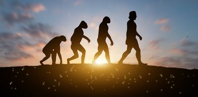 The human body isn’t a masterpiece of design – it’s a patchwork of evolutionary compromise