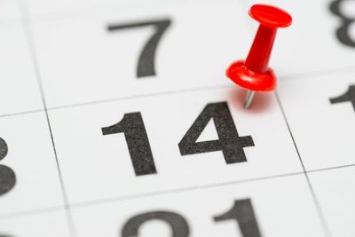 The “Too Late” Rule: When Missed Government Doors Close Forever