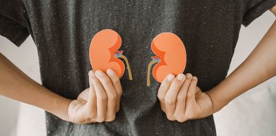 Kidney disease is growing in Africa: big new study casts light on genetic risk factors