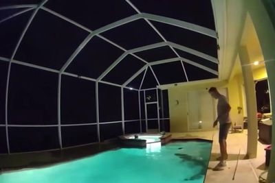Giant alligator mistaken for burglar found swimming in Florida pool
