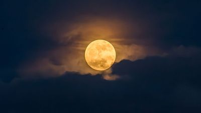 May full moon 2026: When, where and how to see the Flower Moon