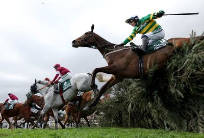 Grand National 2026: Full list of runners and horse-by-horse guide of Aintree race