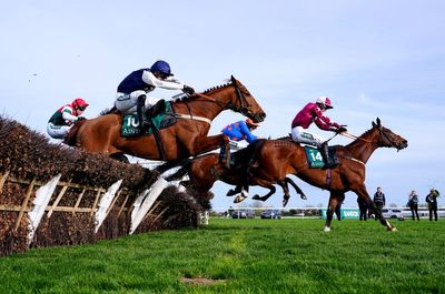 Grand National 2026: Full list of runners and horse-by-horse guide of Aintree race