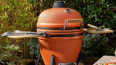 Forget Big Green Egg, B&Q launches an orange egg-shaped barbecue – and it’s so much cheaper