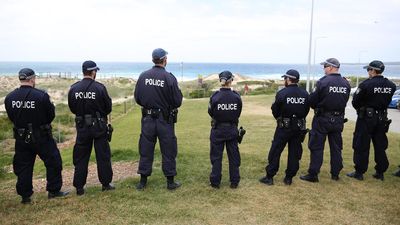 Man incited racial violence with Cronulla bashing calls