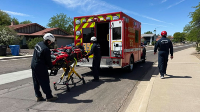 Arizona hiker airlifted after 100+ bee stings leave him critical
