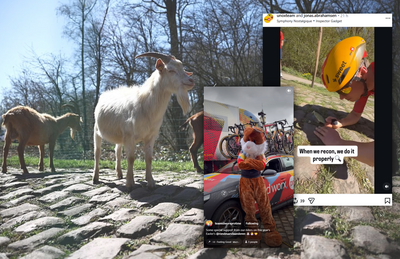 Goats, cobble inspections and the Easter Bunny: this week in cycling's social media
