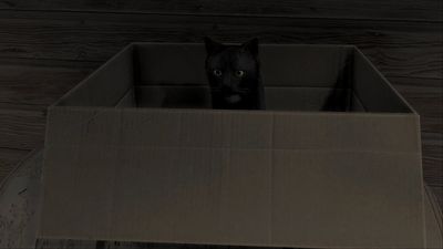How to get a cat in Road to Vostok