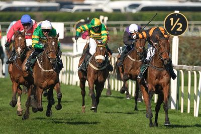 Grand National 2026: Every horse rated and ranked