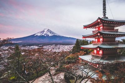Why Japan is asking tourists to stop tossing coins in Mount Fuji ponds