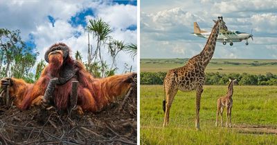 112 Stunning Shots From The 2025 Nature Photography Contest You Might Want To See