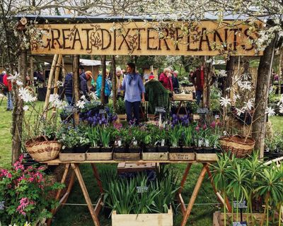 All the fun of the plant fair: where real gardeners do their shopping