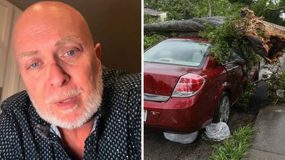 Tree Falls On Woman’s Car. Then The Dealership Says She Can’t Get Another. Then Another Employee Steps In