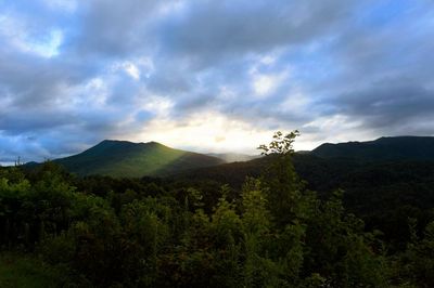 ‘Illegal’ forest service overhaul risks causing ‘chaos’ across US public lands, union claims
