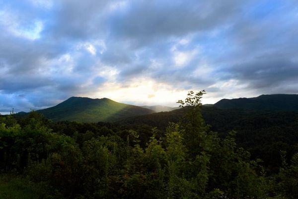 ‘Illegal’ forest service overhaul risks causing ‘chaos’ across US public lands, union claims