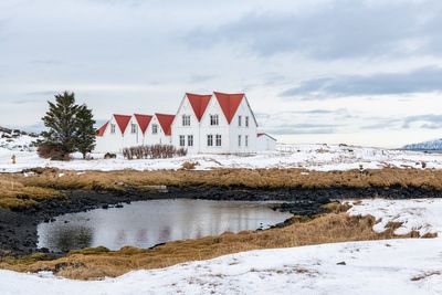 Björk to host ‘eclipse rave’ in Iceland this summer