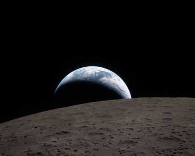 Digested week: NeeDohs, Knox and news from the far side of the moon