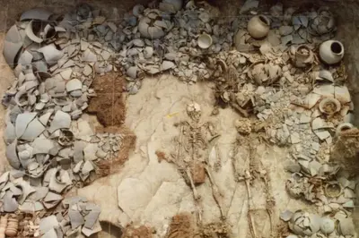 Ancient Korea had people from ‘sacrificial caste’ killed to please royalty, skeletons reveal