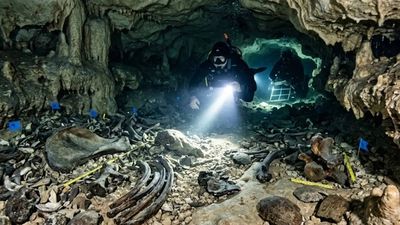 Rare Ice Age fossils found in Texas cave could rewrite ancient climate history