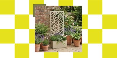 These Screens Are Such a Clever Way to Add Plants, Privacy, and a Touch of Pretty to Your Garden, All in One Go