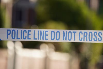 Man arrested after child dies in suspected dog attack