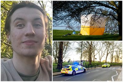 'See you later. I'll be back to cook dinner’: Heartbreaking last words of Primrose Hill stab victim to father