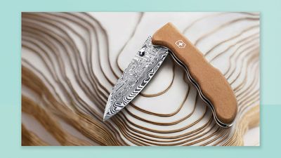 Victorinox just unveiled a 115-layer Damasteel knife and only 7,000 people can own one