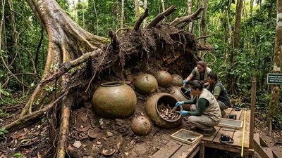Buried for centuries: Giant funeral spheres discovered beneath Amazon tree roots in Brazil
