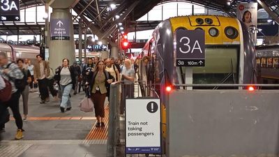 There's a problem with making public transport free