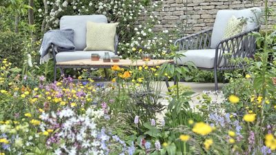 ALDI’s New 'Foldable' Garden Rocking Chair Will Turn Your Backyard into a Private Escape for Under $50