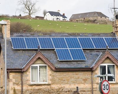 Record number of homes in Great Britain turn to green energy as fuel prices soar