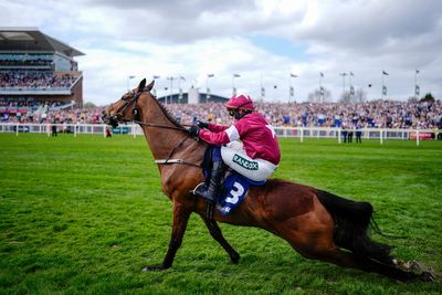 Public opinion split on horse racing as Polanski calls for ban ahead of Grand National