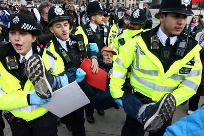 Protesters removed by Met Police during Palestine Action demonstration