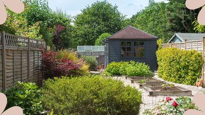 Did you know that owning a shed comes with rules, and breaking them could cost you hundreds in fines?
