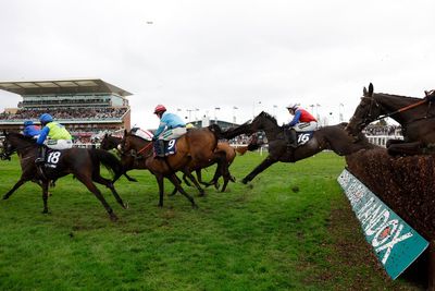 Get On George becomes second horse to die at 2026 Aintree Festival