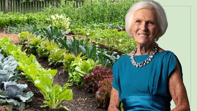 Mary Berry shares her success in growing an alternative new vegetable – it's one we've never heard of, have you?