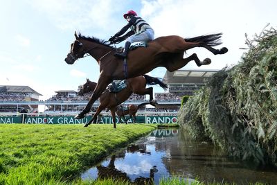 Grand National medical updates issued on three horses who failed to finish the race