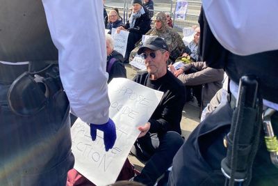 Massive Attack musician Robert Del Naja arrested at Palestine Action protest