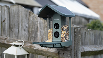 Kiwibit Beako Smart Bird Feeder review: I’ve added a 4K feeder to my yard, and I can’t stop watching the footage!