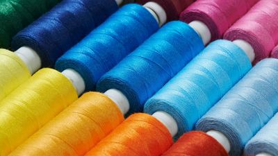 Most viral photography trends are short-lived, but I finally found one that could actually make you a better photographer: Color hunting