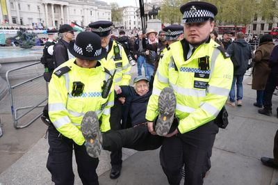 Over 200 arrests at pro-Palestine Action rally including protesters in their 80s