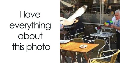 87 Memes So Hilarious And Simple They Might Make Your Day Way Better