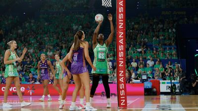 Party for Fever in milestone game celebration