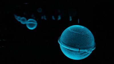 A journey to the bottom of the ocean, beneath Paris’s skyscrapers