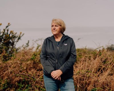 ‘Part of our souls’: the fight to stop the New Forest being split in two