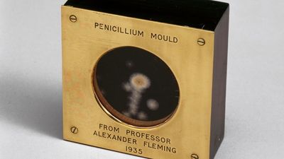 A 69-year-old grandmother went to the hospital for an ongoing skin condition, but one error led to her ‘screaming in agony’ before the worst happened