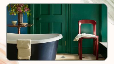 Designers explain why small bathrooms are 'the best place to have some fun and use bold colours'