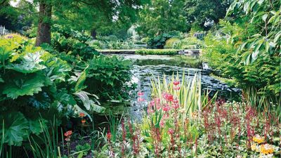 A Frog House is the One Wildlife Feature Missing From Your Garden Pond – It’s Both Adorable and Life-Saving