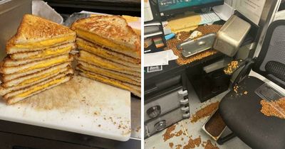 “Kitchen Confidential”: Restaurant Workers Reveal Industry Secrets And Jokes In 77 Posts (New Pics)