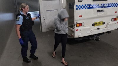 'Spray it': woman bailed after allegedly helping gunman